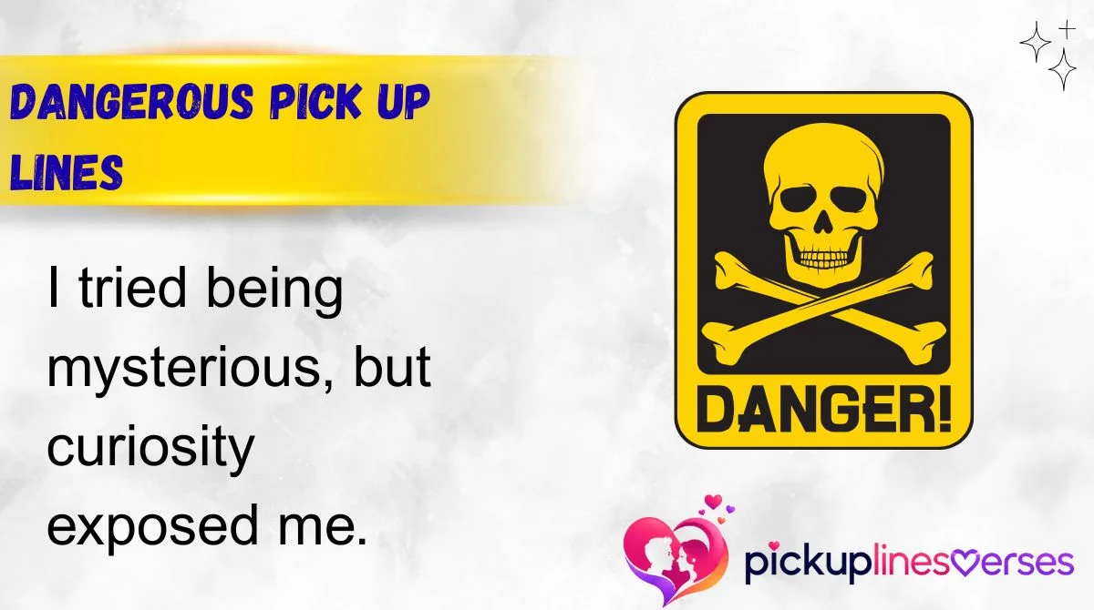 Dangerous Pick Up Lines