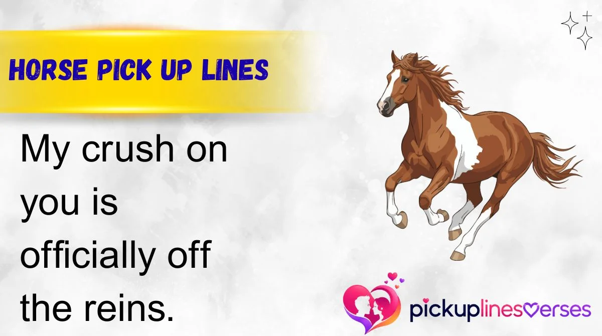 Horse Pick Up Lines