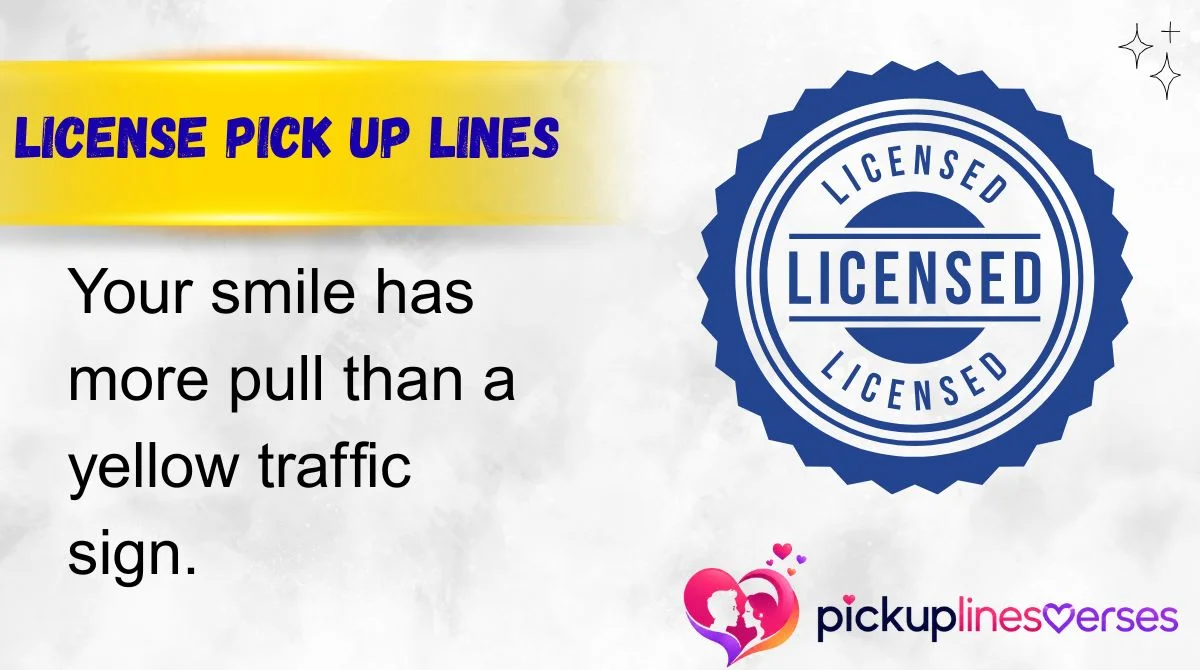 License Pick Up Lines