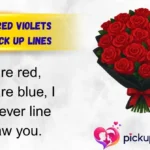 Roses Are Red Violets Are Blue Pick Up Lines