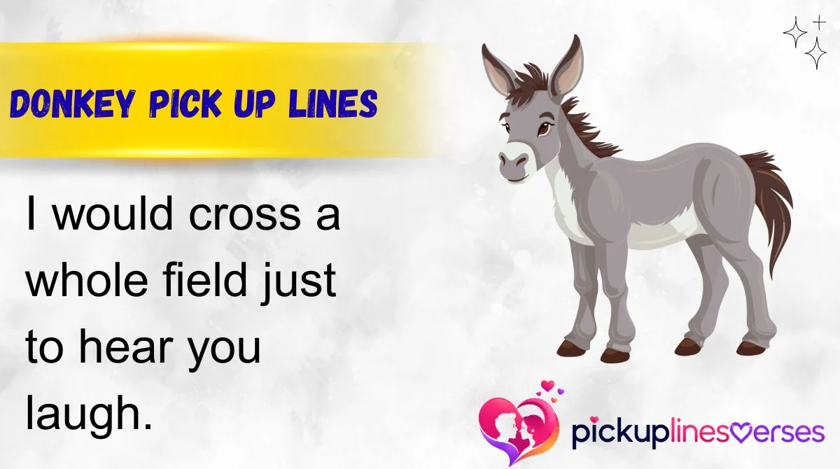 Donkey Pick Up Lines