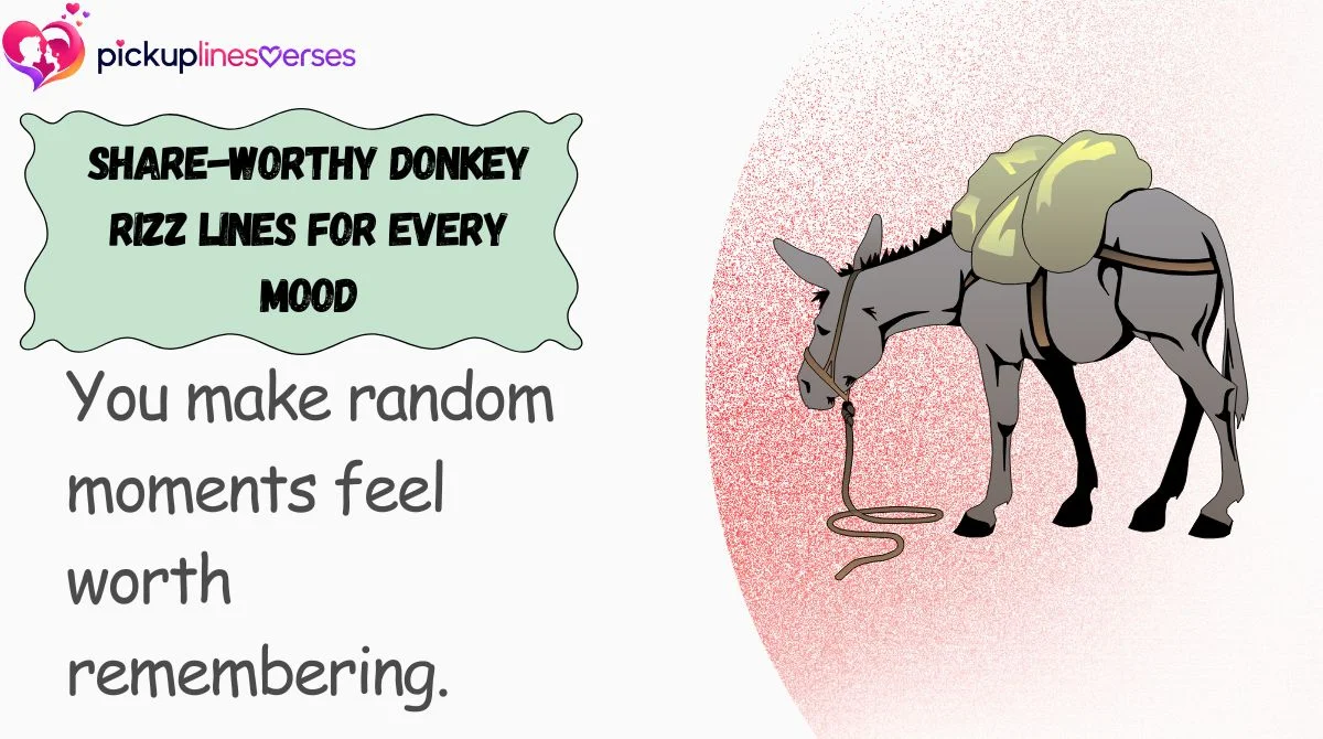 Share-Worthy Donkey Rizz Lines for Every Mood