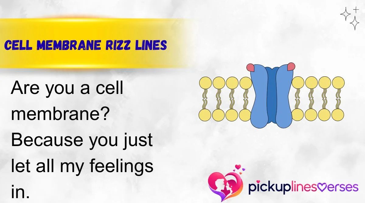 Cell Membrane Rizz Lines