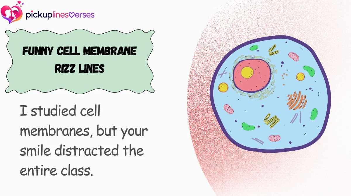 Funny Cell Membrane Rizz Lines