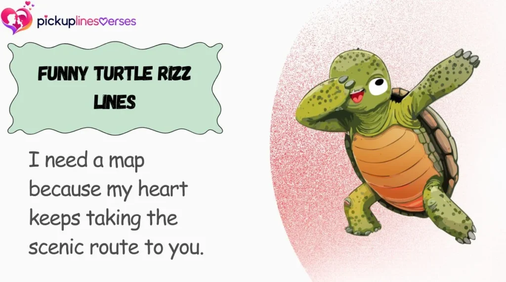 Funny Turtle Rizz Lines