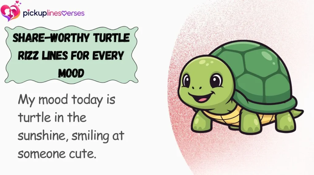 Share-Worthy Turtle Rizz Lines for Every Mood