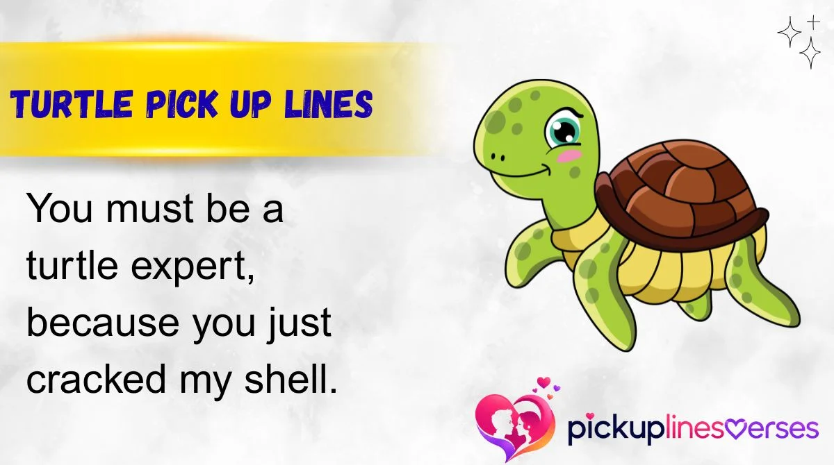 Turtle Pick Up Lines